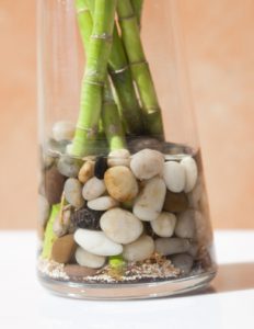 bambou et cailloux dans un vase